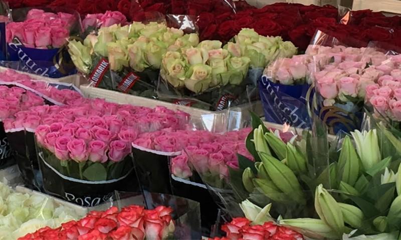 A selection of flowers that could be cooled.