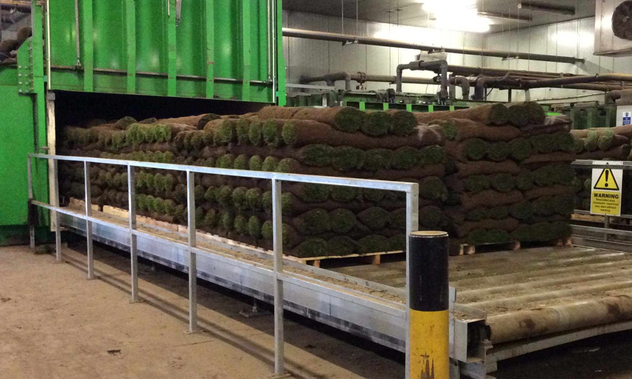 Neatly stacked rolls of freshly harvested green grass turf going into a cooler.